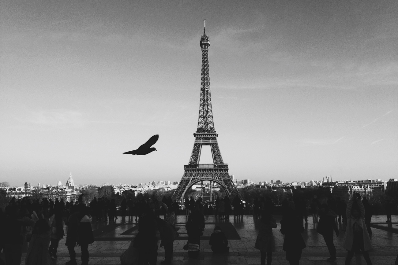 the siluette of a crowd standing under the eiffel tower